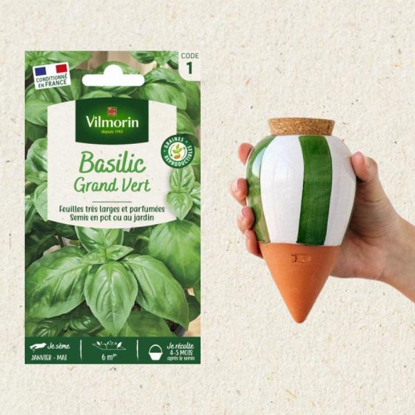 Kit de jardinage - Kit semis Basilic Grand Vert + Olla Rayé Vert et Blanc - face recto